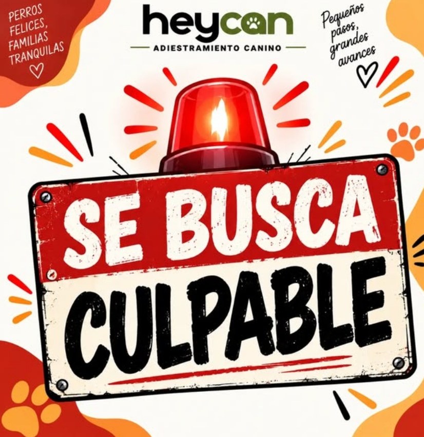 Se busca culpable: perros felices, familias tranquilas.